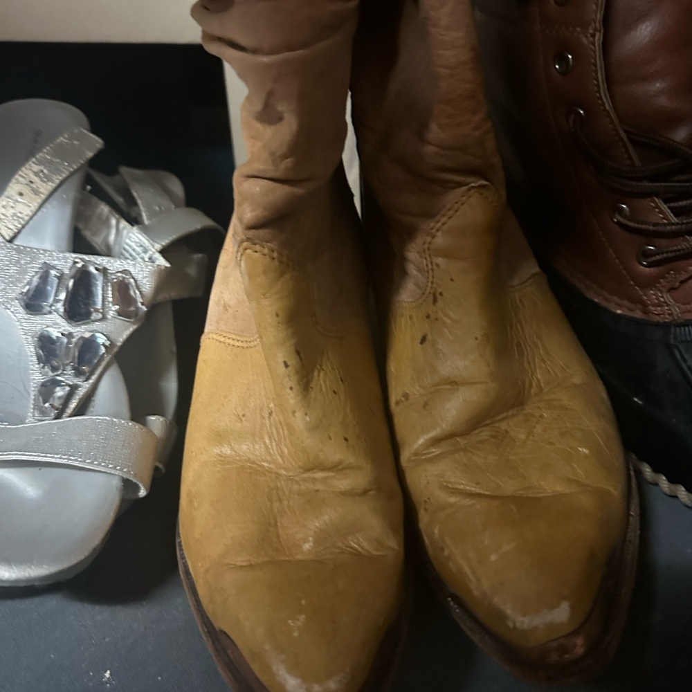 Zodiac Brown Leather Ankle Boots